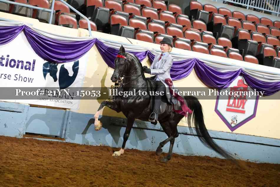 Proof 21YN_15053