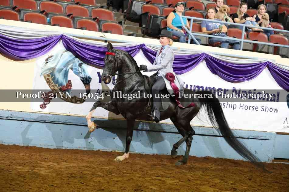 Proof 21YN_15054