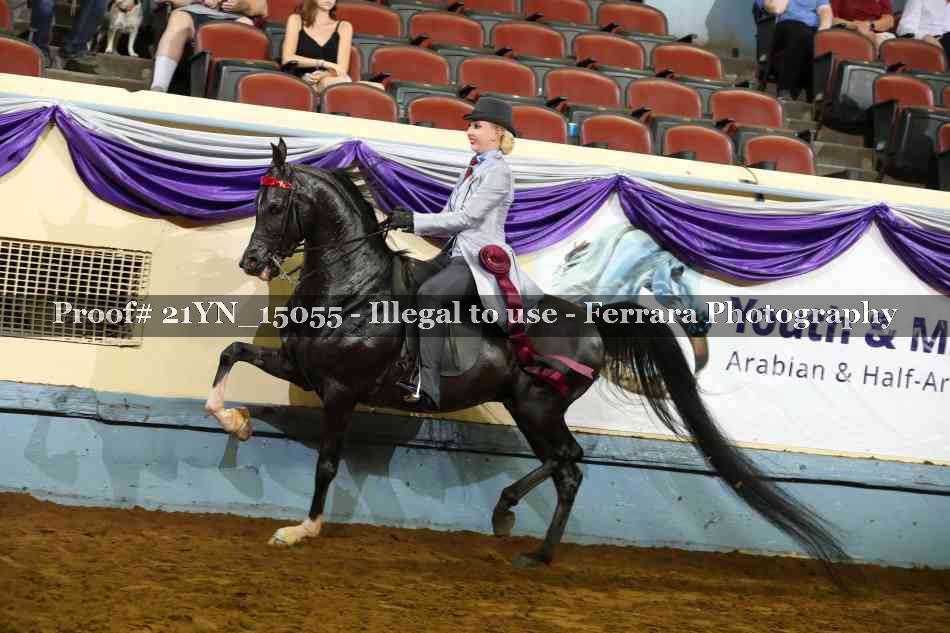 Proof 21YN_15055