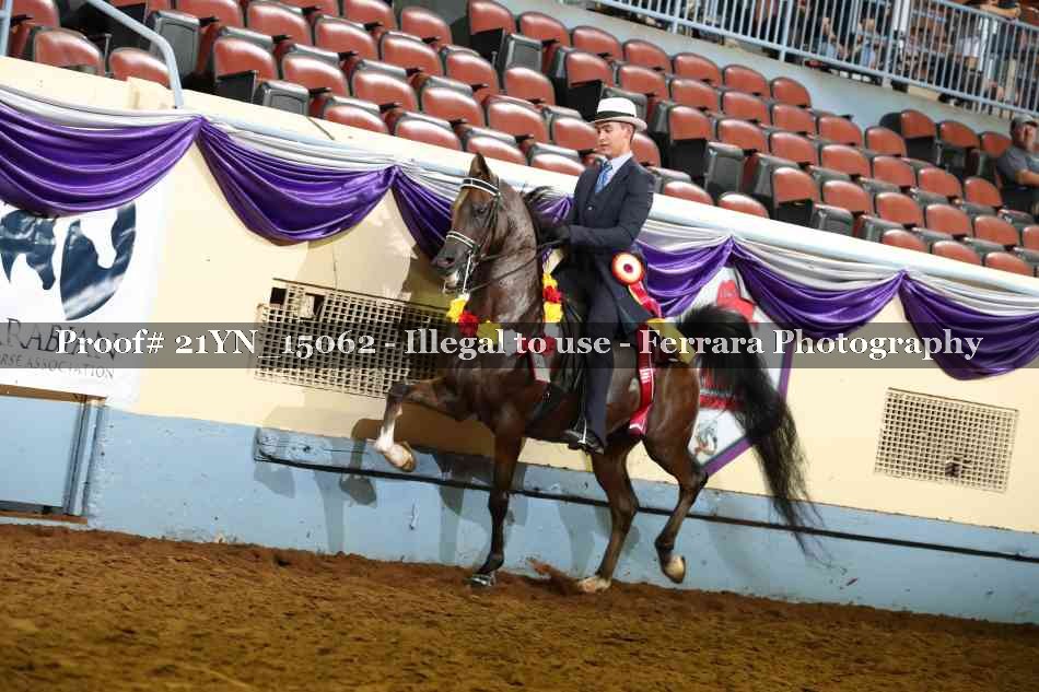 Proof 21YN_15062