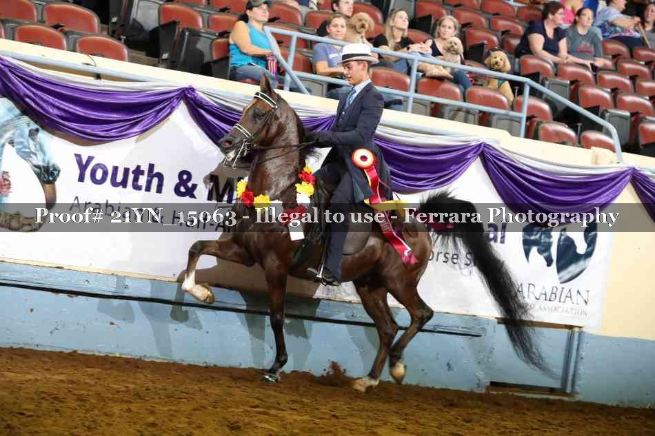 Proof 21YN_15063