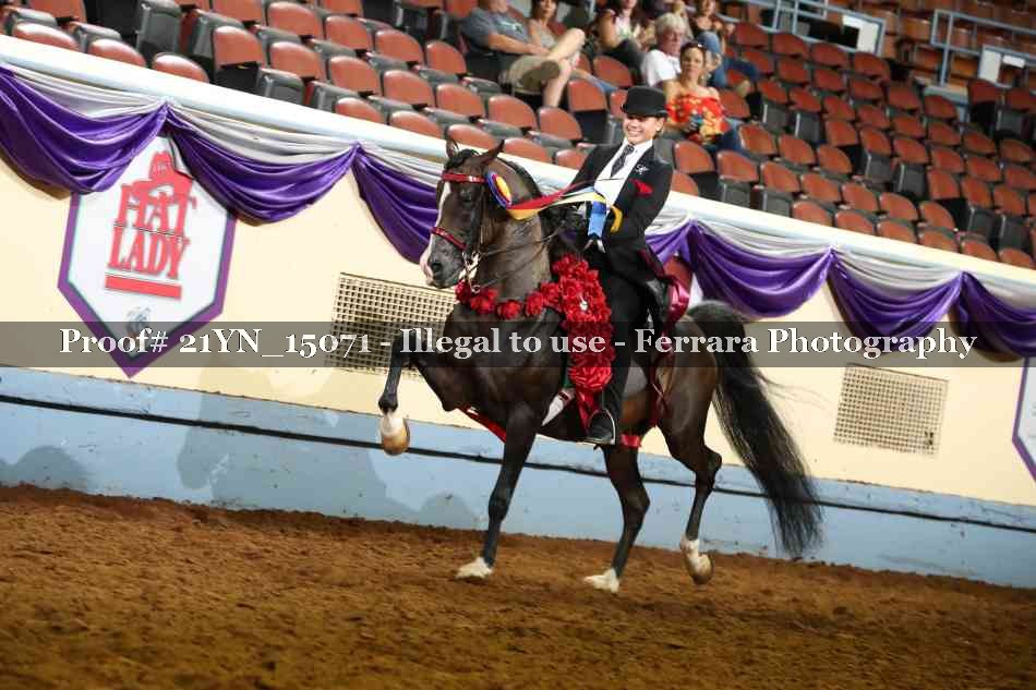 Proof 21YN_15071