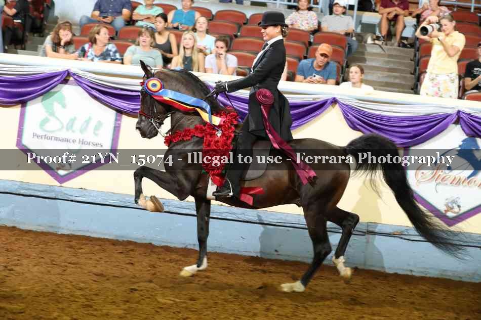 Proof 21YN_15074