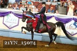 21YN_15074 proof