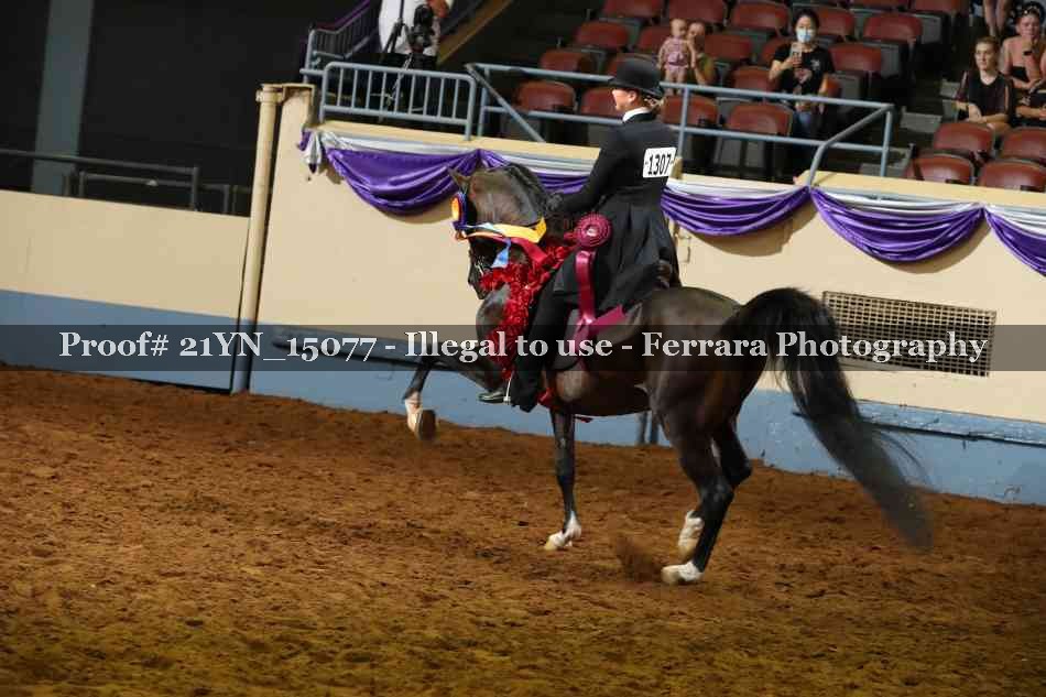 Proof 21YN_15077