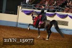 21YN_15077 proof