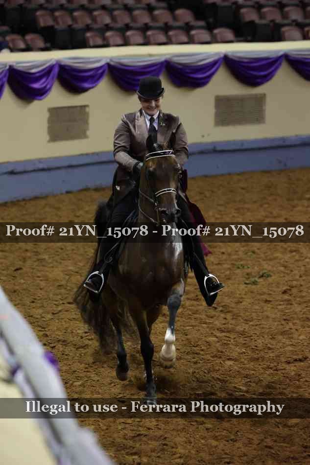 Proof 21YN_15078