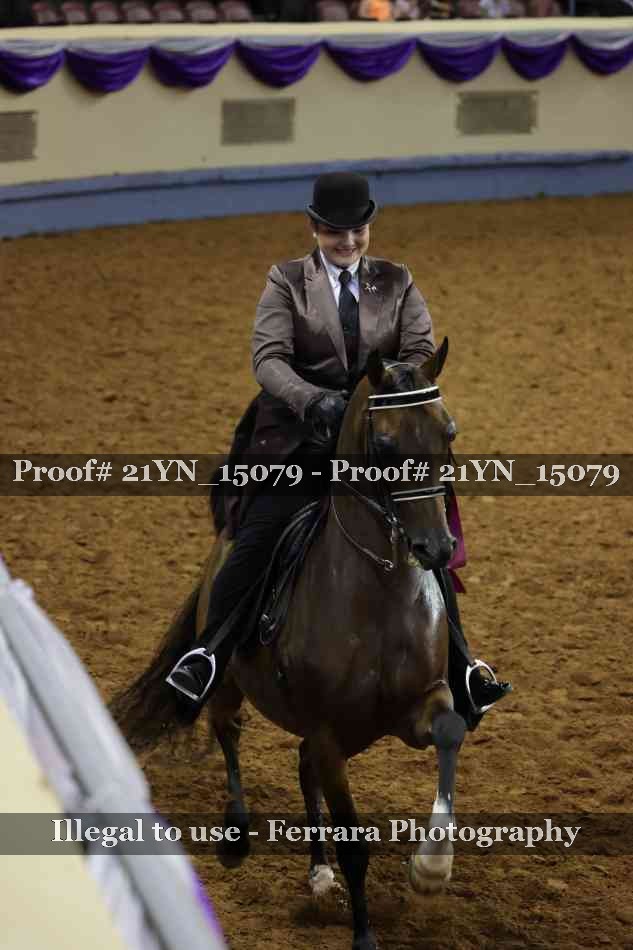 Proof 21YN_15079