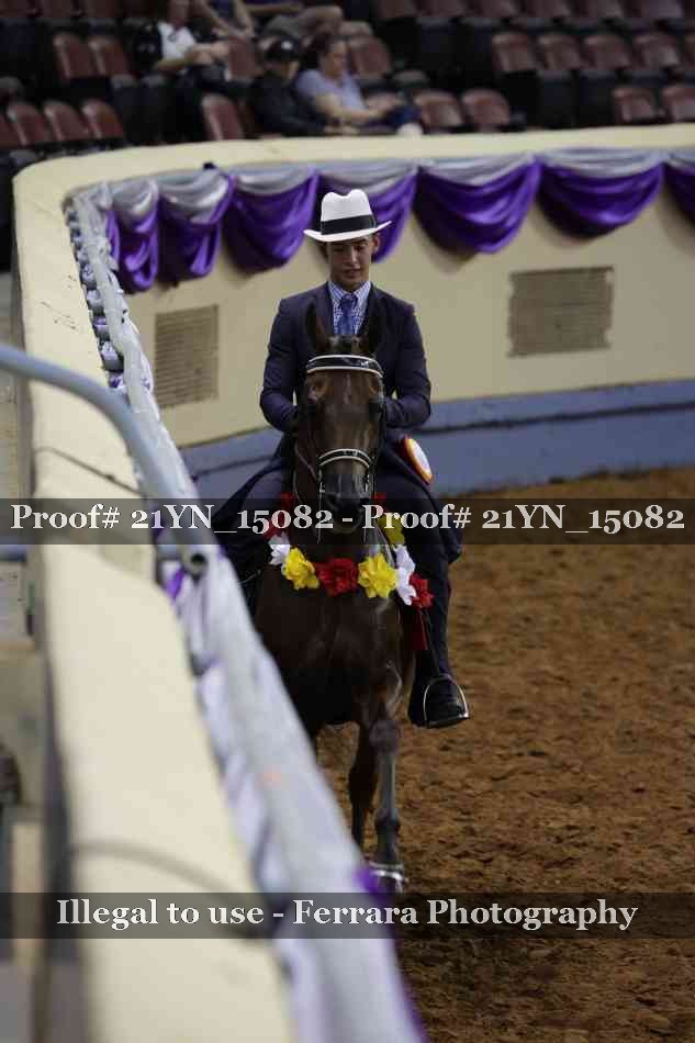 Proof 21YN_15082