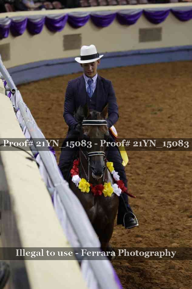 Proof 21YN_15083