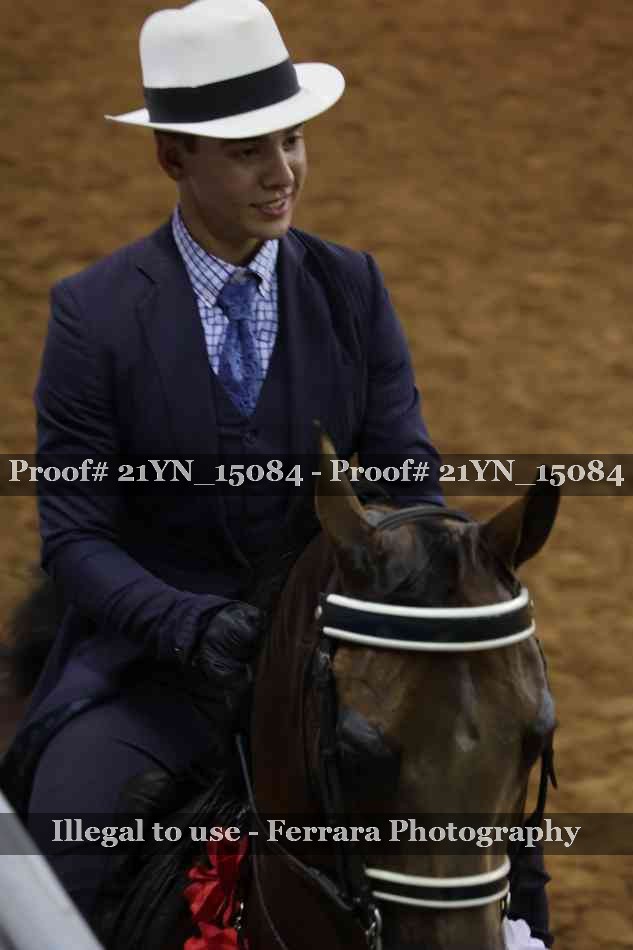 Proof 21YN_15084