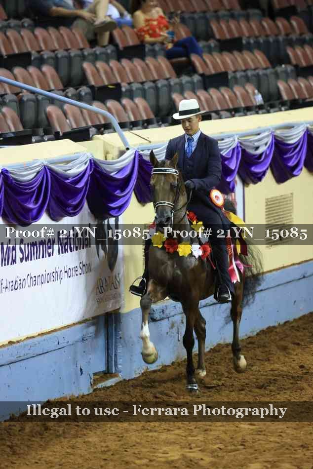 Proof 21YN_15085