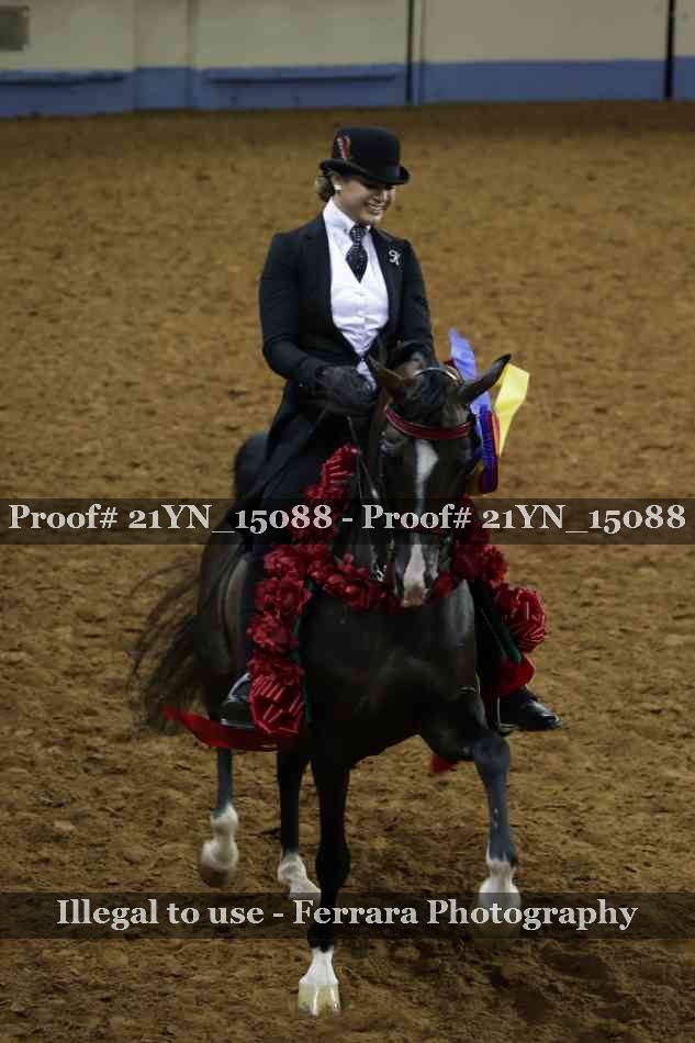 Proof 21YN_15088