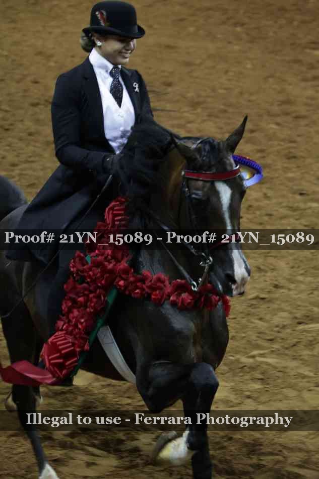 Proof 21YN_15089