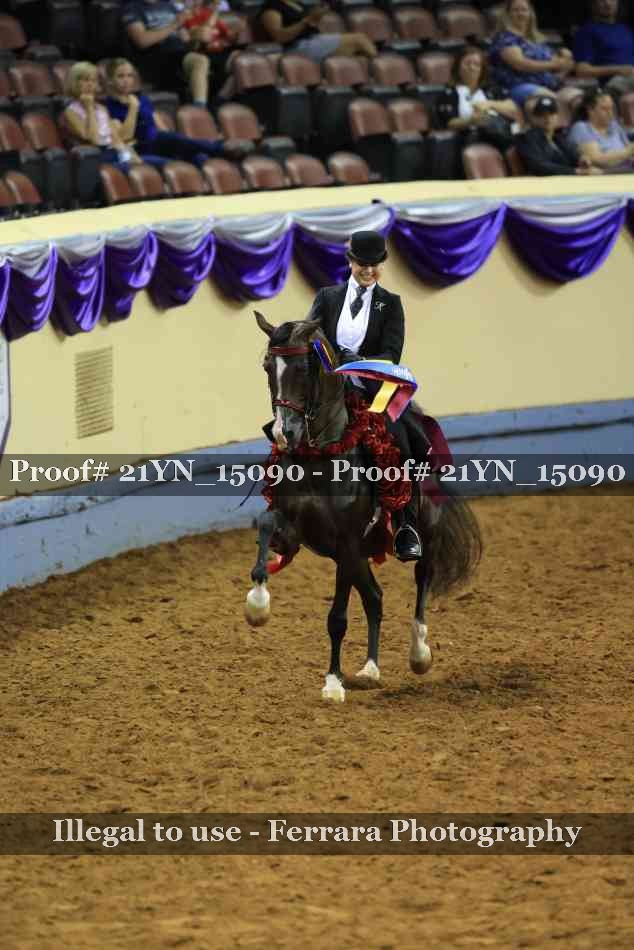 Proof 21YN_15090