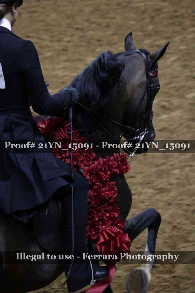 Proof 21YN_15091