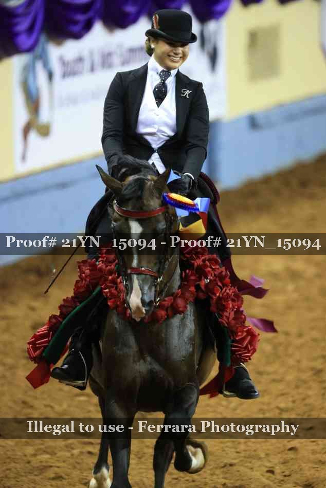 Proof 21YN_15094
