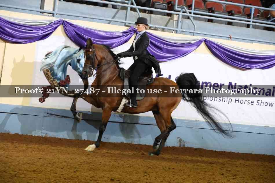 Proof 21YN_27487
