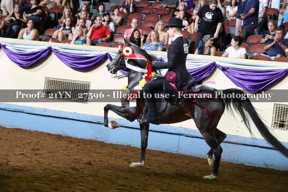 Proof 21YN_27596