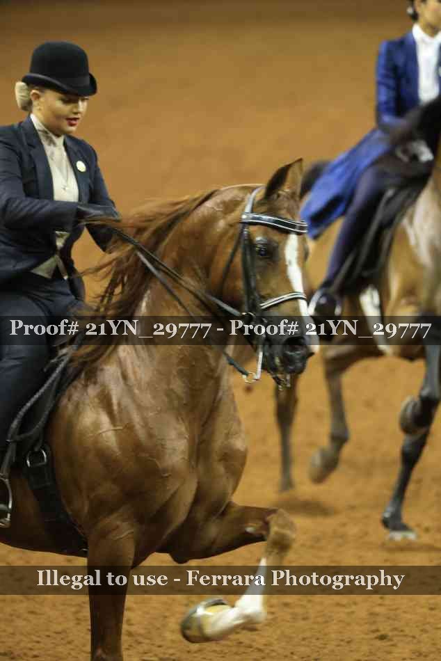 Proof 21YN_29777