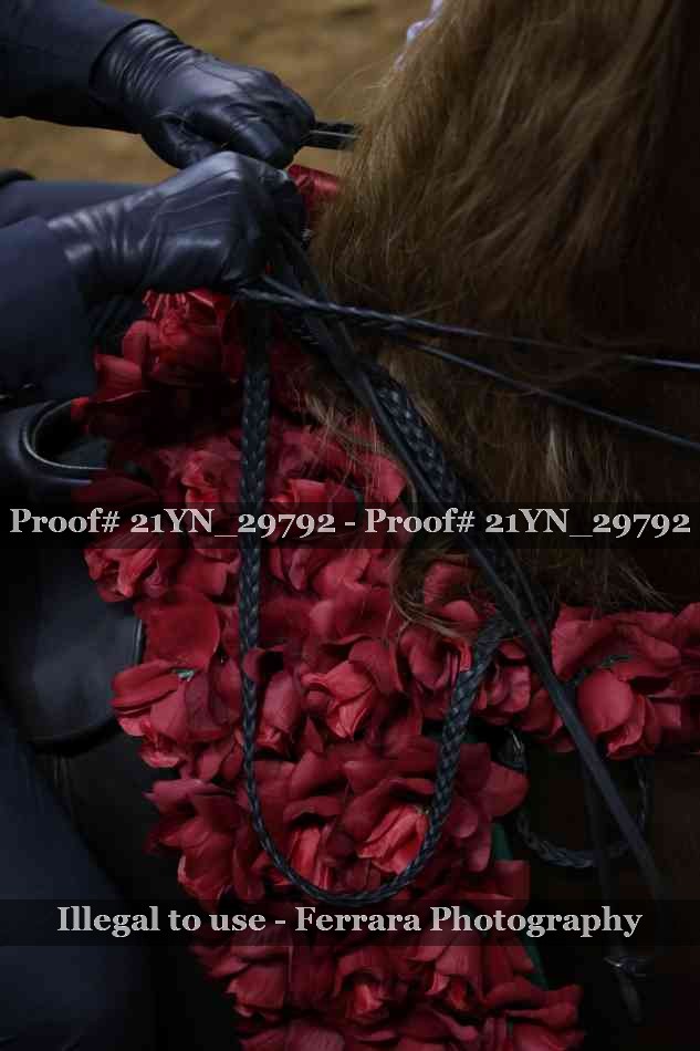 Proof 21YN_29792