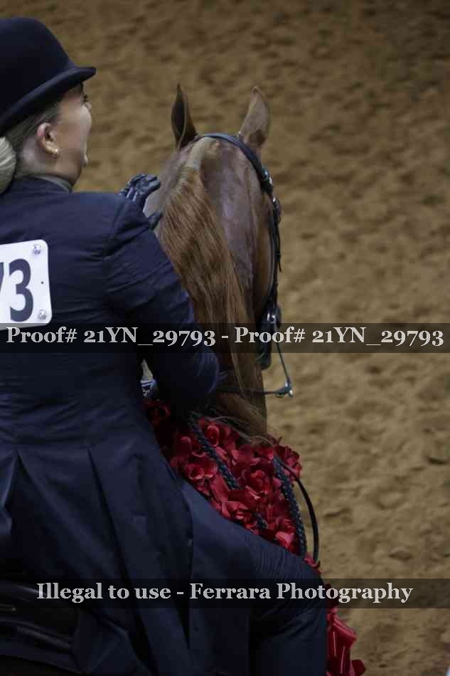 Proof 21YN_29793