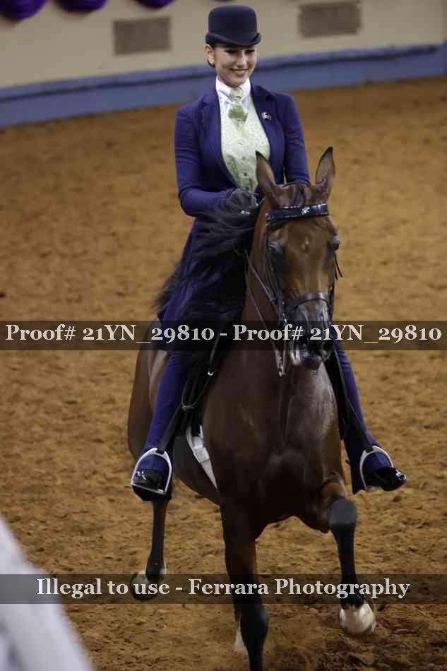 Proof 21YN_29810