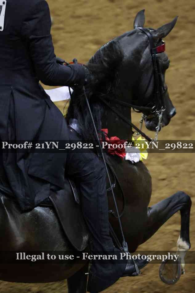 Proof 21YN_29822