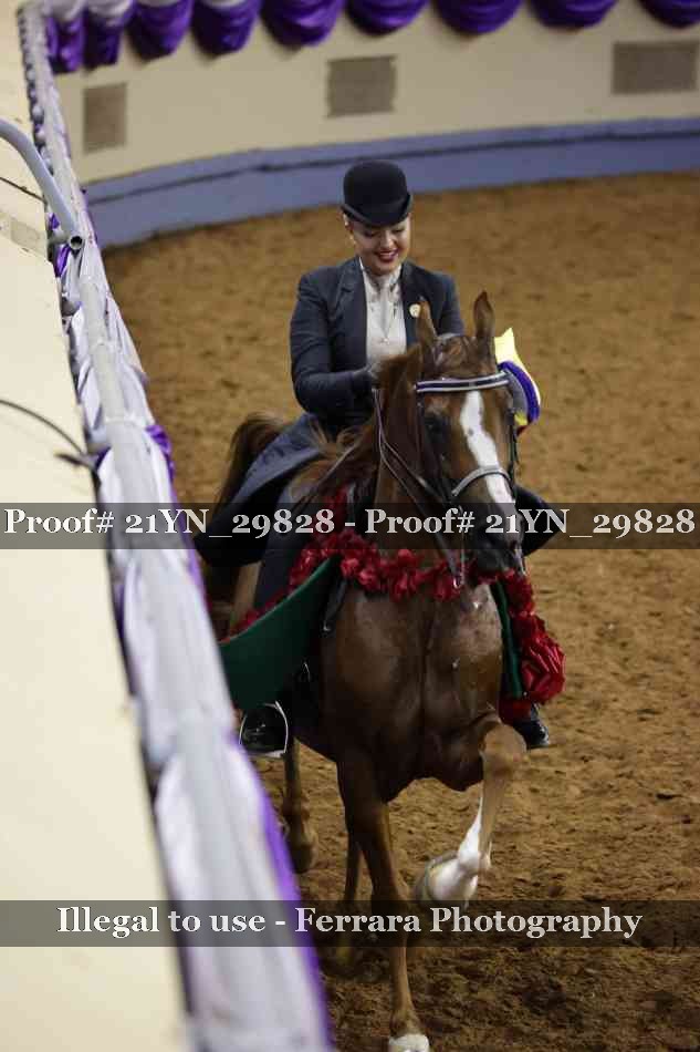 Proof 21YN_29828