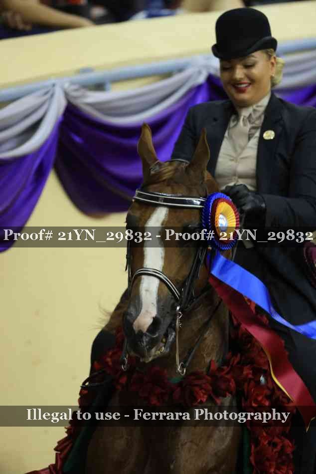 Proof 21YN_29832