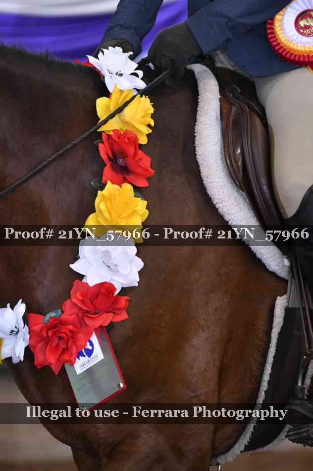 Proof 21YN_57966