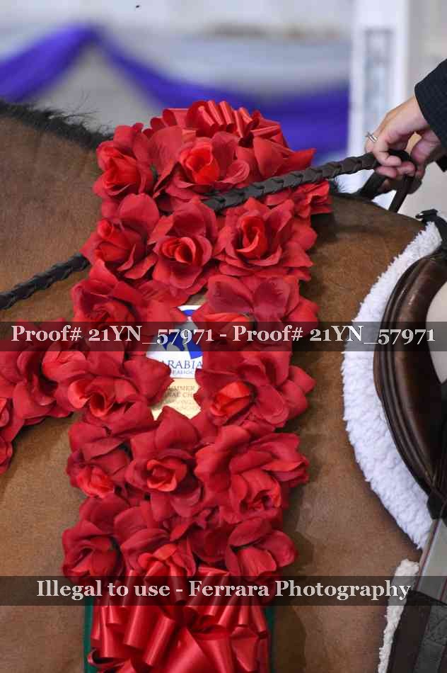 Proof 21YN_57971