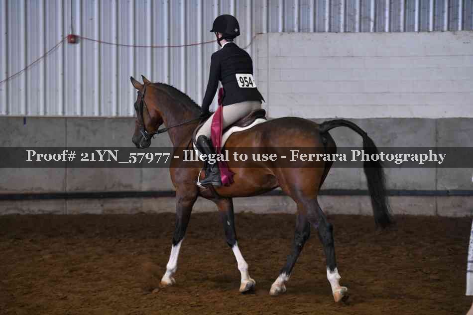 Proof 21YN_57977