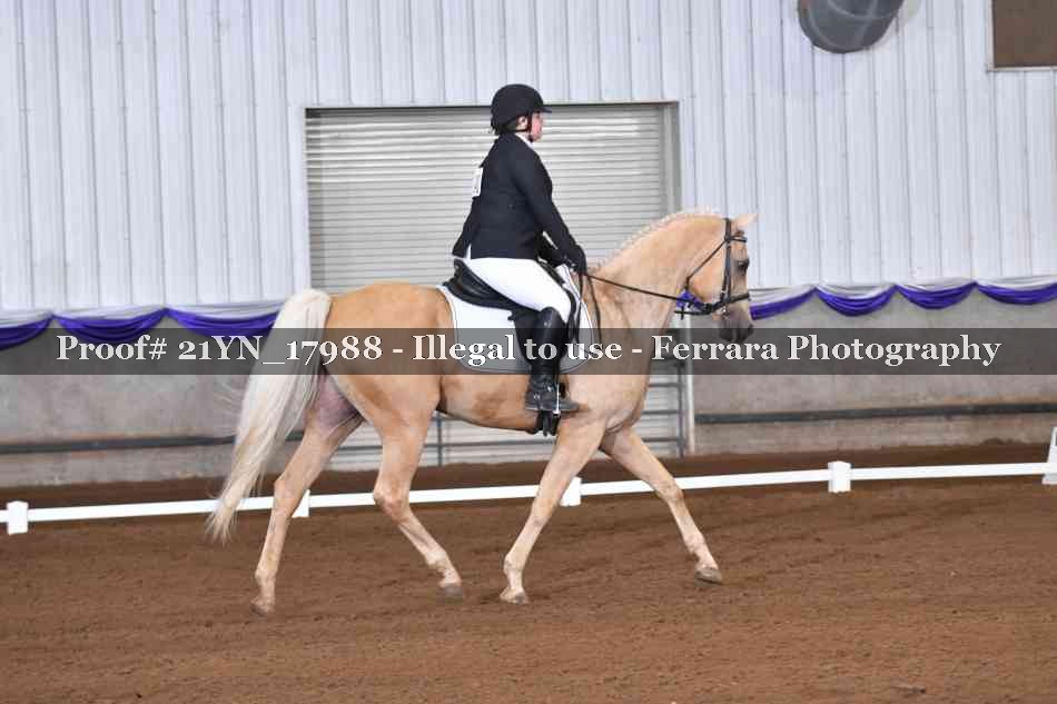 Proof 21YN_17988