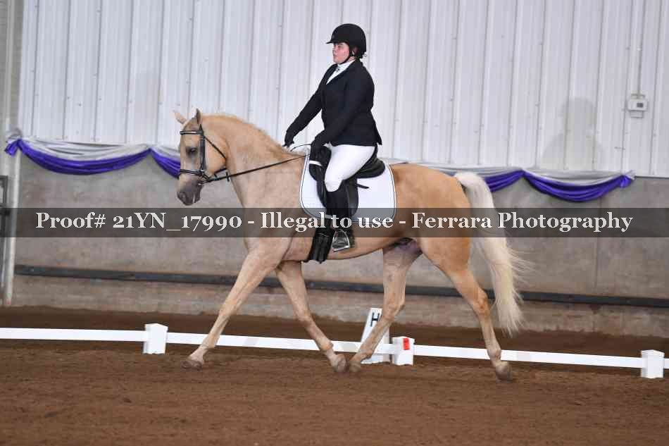 Proof 21YN_17990