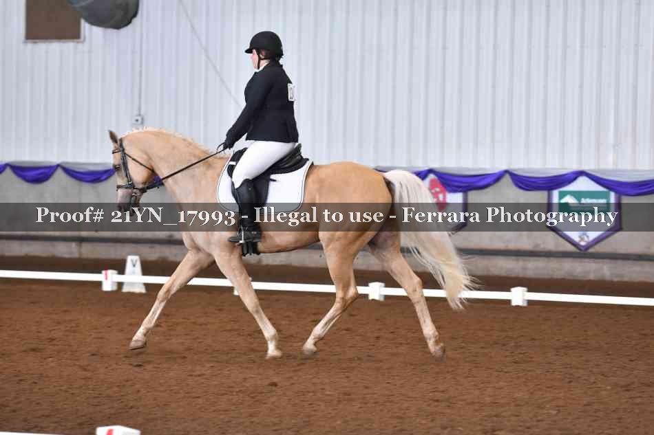 Proof 21YN_17993