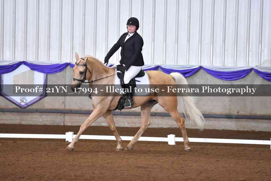 Proof 21YN_17994