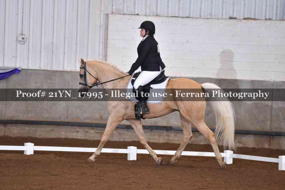 Proof 21YN_17995