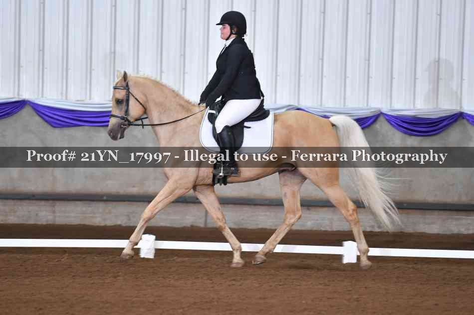 Proof 21YN_17997