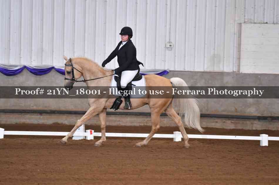 Proof 21YN_18001