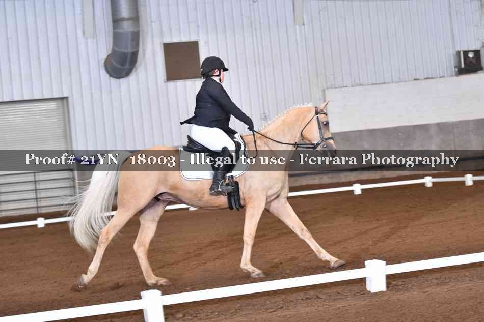 Proof 21YN_18003
