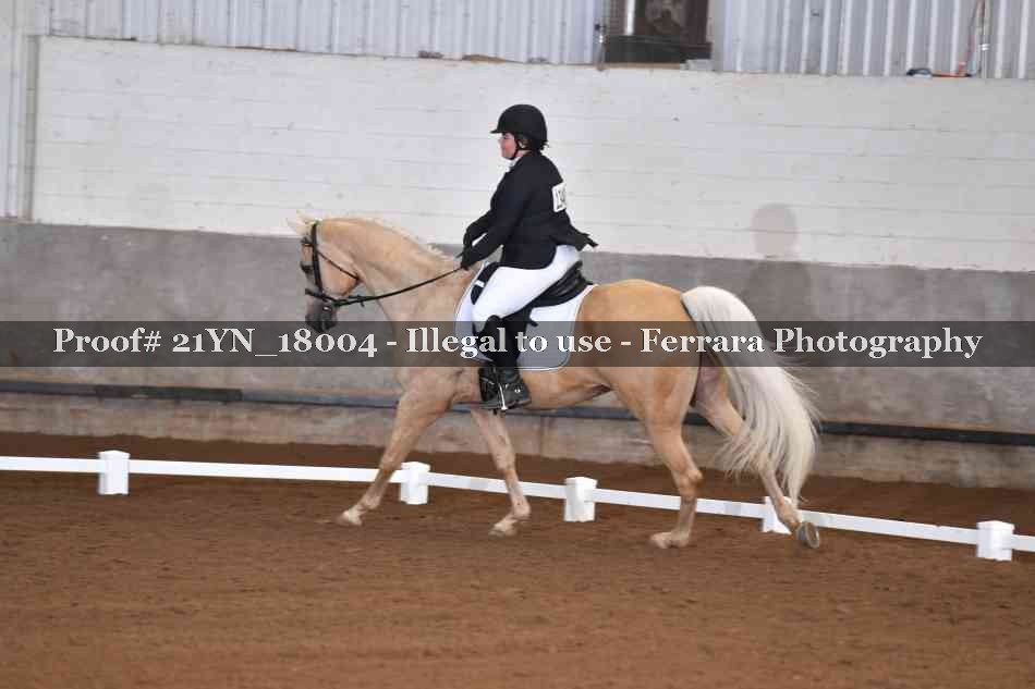 Proof 21YN_18004