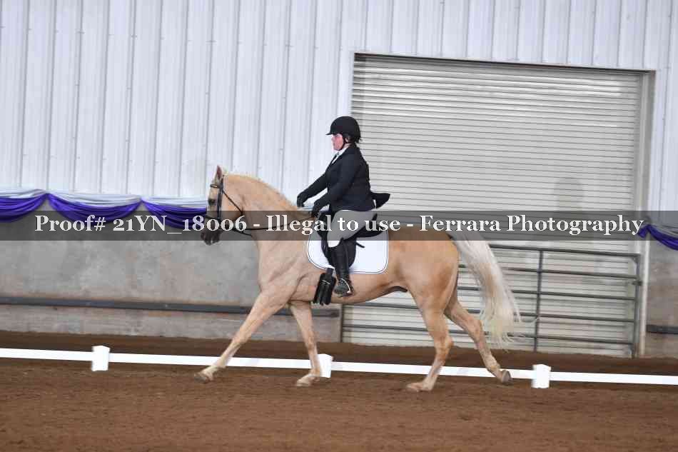 Proof 21YN_18006