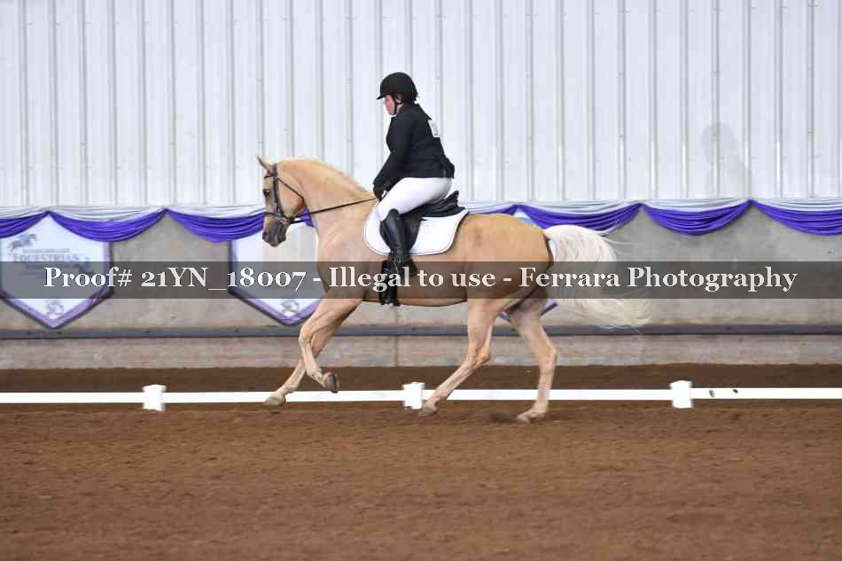 Proof 21YN_18007