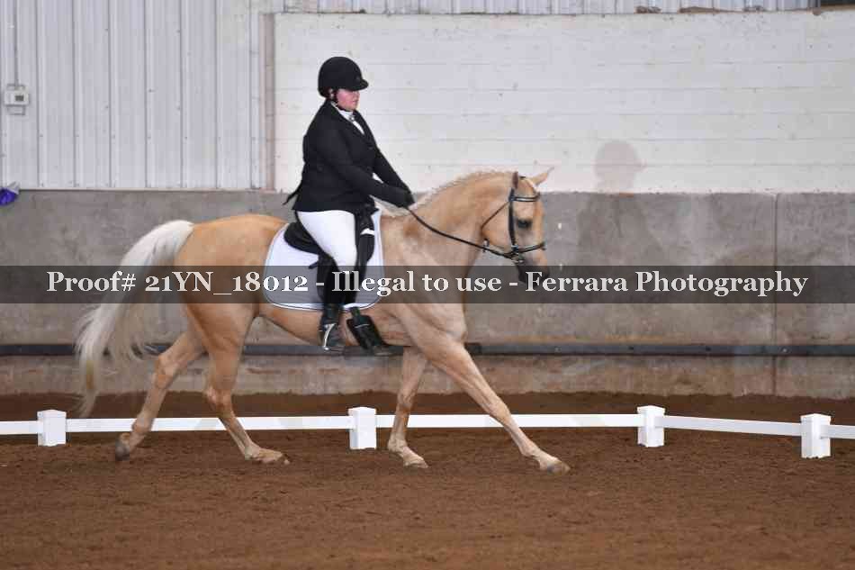 Proof 21YN_18012