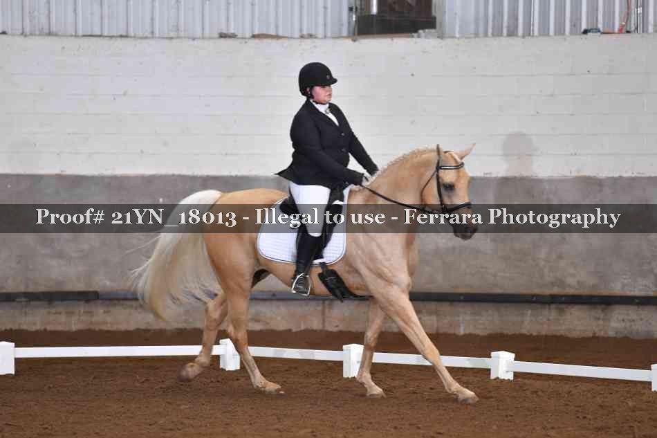 Proof 21YN_18013