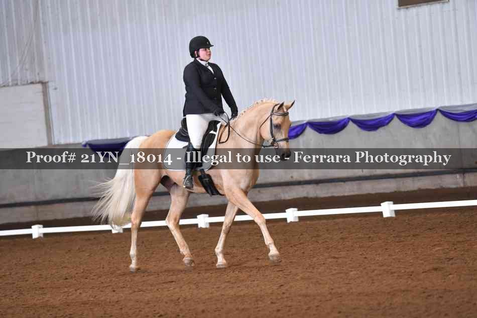 Proof 21YN_18014