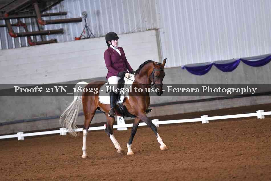 Proof 21YN_18023