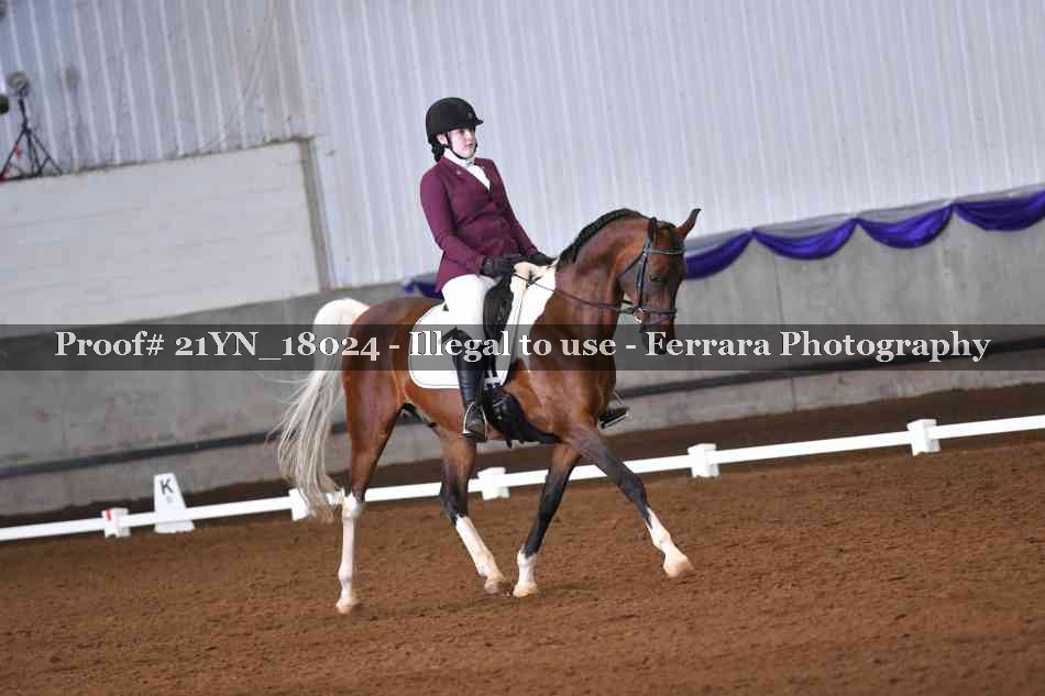 Proof 21YN_18024