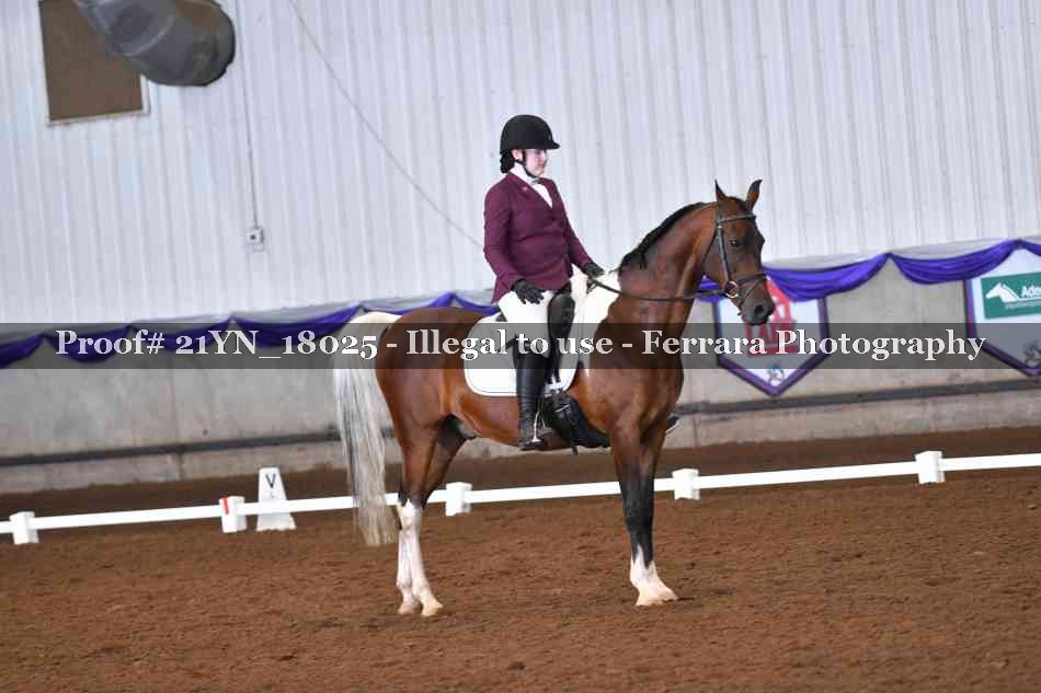 Proof 21YN_18025
